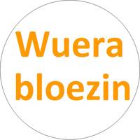Wuerabloezin