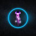 Stinging Jellyfish
