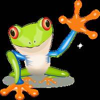 Wetterfrosch