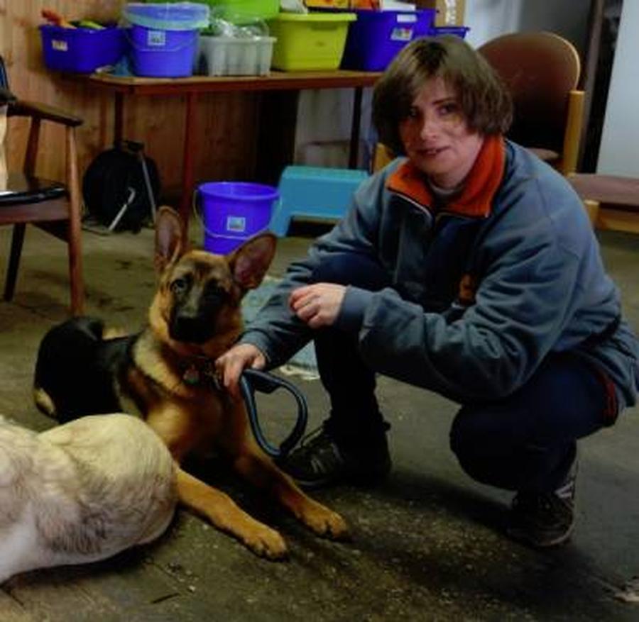 Wie viel Liebe braucht ein Hund&hellip;..? Teil I Auch Einschränkung ist