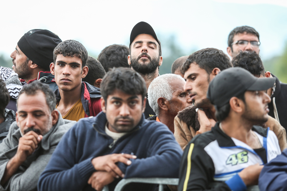 Viele fische suchen männer und frauen