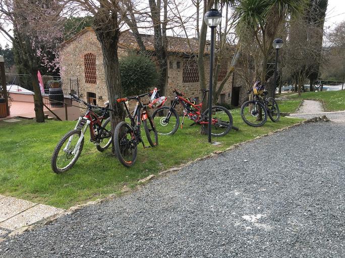 Die Vision des Ernesto Hutmacher - von Thomas Rottenberg | fisch+fleisch