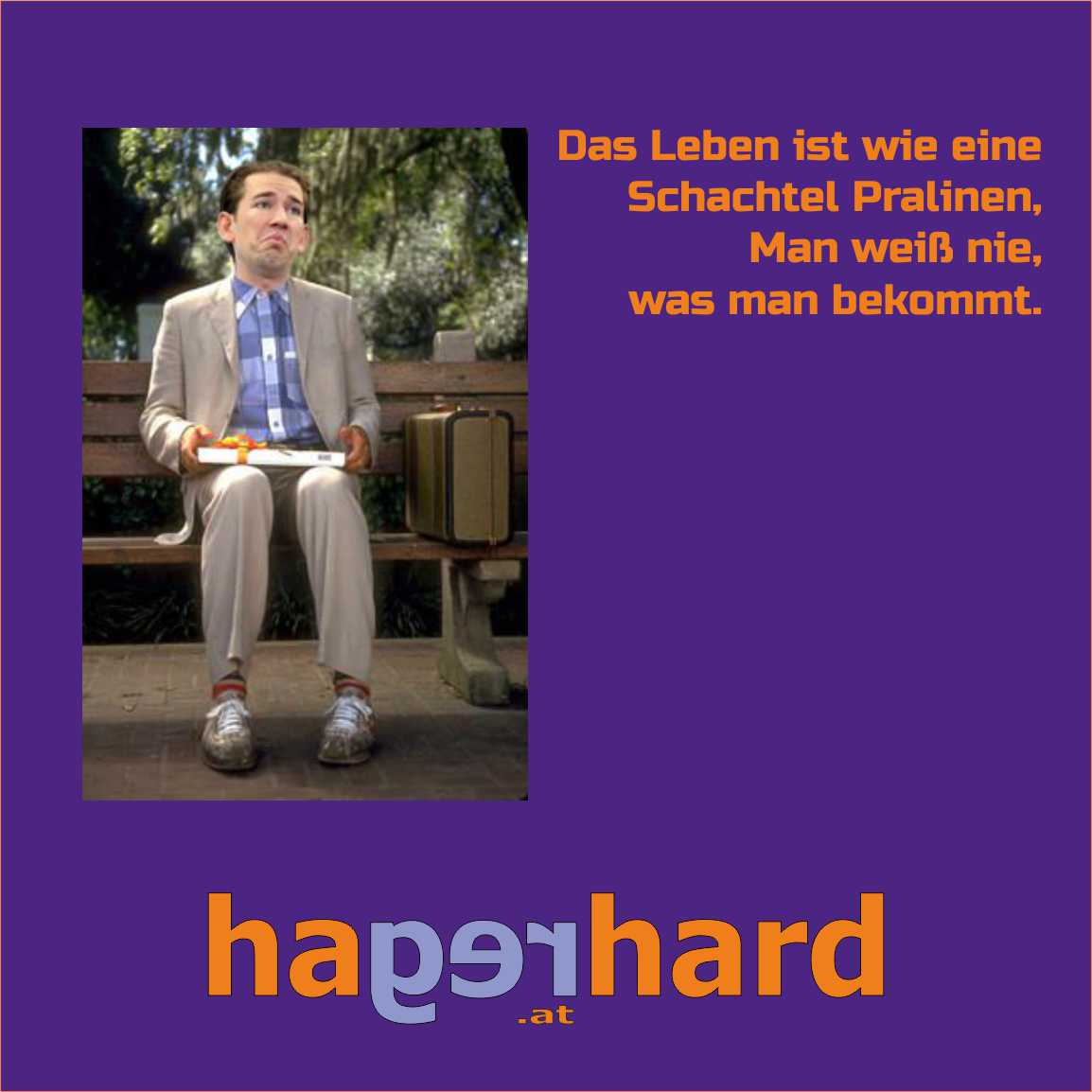 Das Leben ist wie eine Schachtel Pralinen, man weiss nie, was man